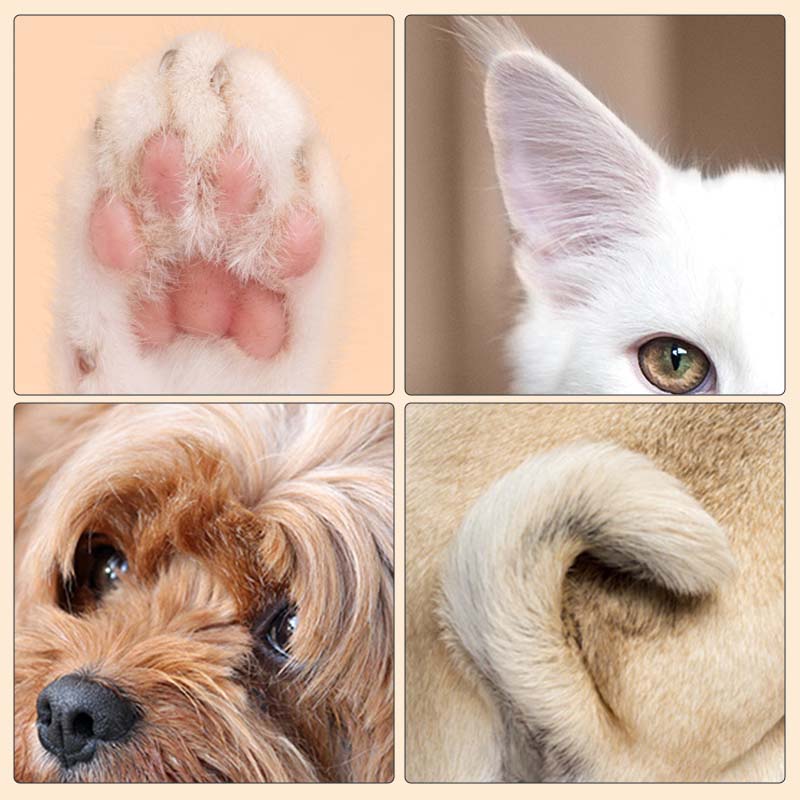 PawGlow™ LED Pet Paw Cleaner (50% OFF)