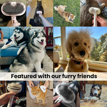 - 54% OFF | PawLish™ - Pet Grooming Brush