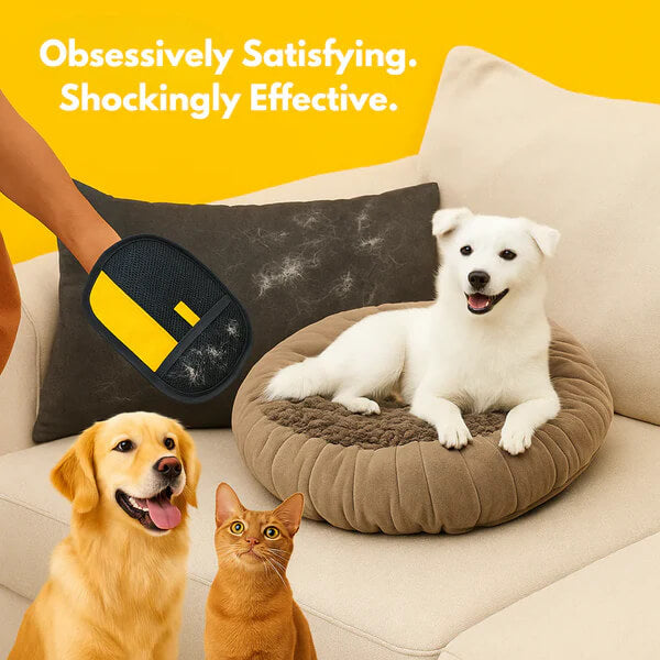 FurBraid™ – #1 Best‑Selling Pet Cleaning Glove