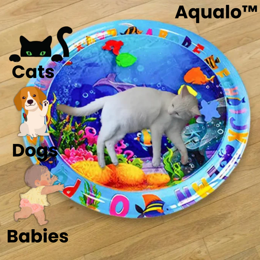 PawSplash™ | Sensory mat