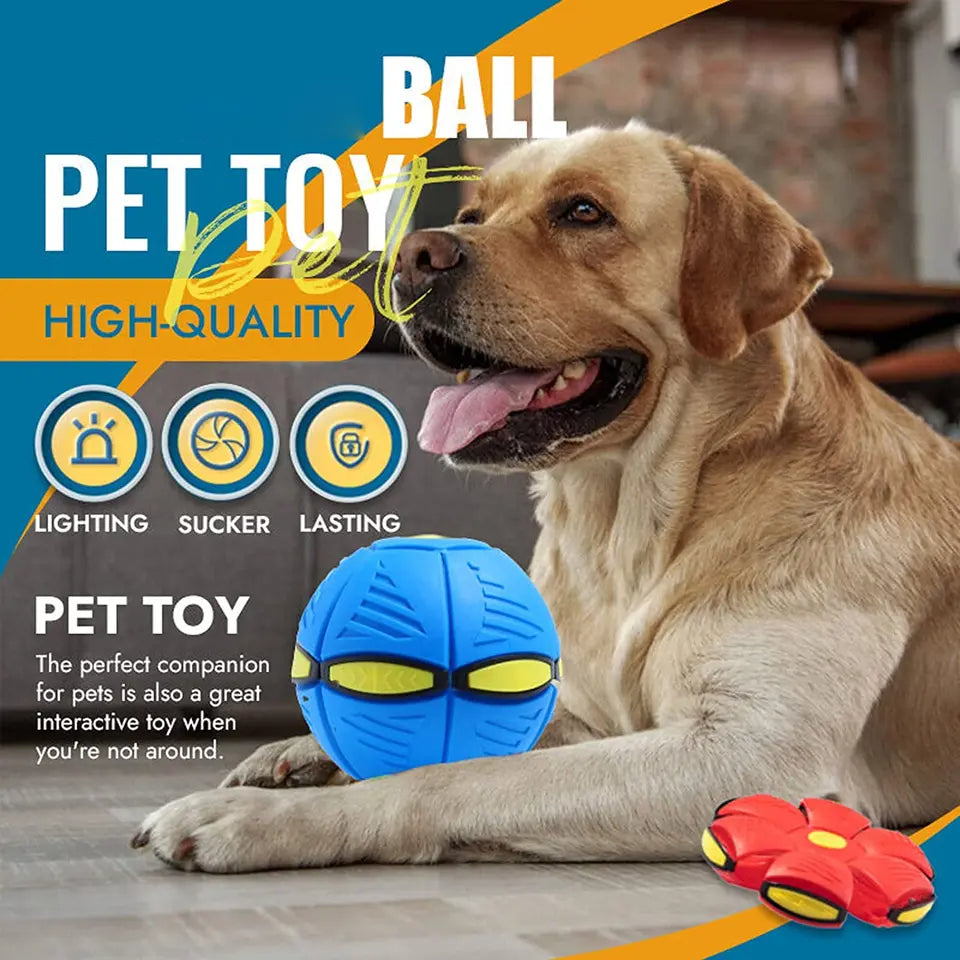 FetchMorph™ – Transforming Disc Ball Toy for Dogs