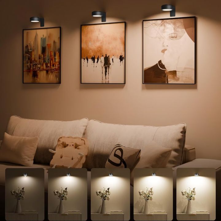 LumiFrame™  Magnetic LED Picture Light for Artful Illumination