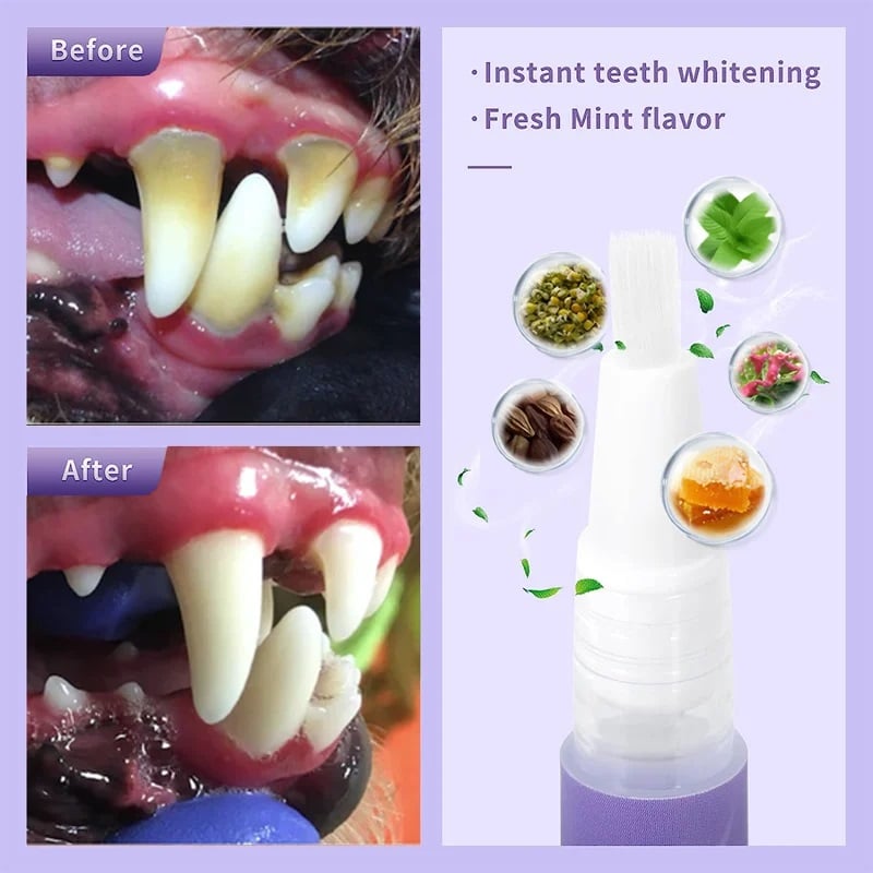 BrightBite™ — Pain-Free Freshness for Your Pet’s Smile (1+1 FREE TODAY!)