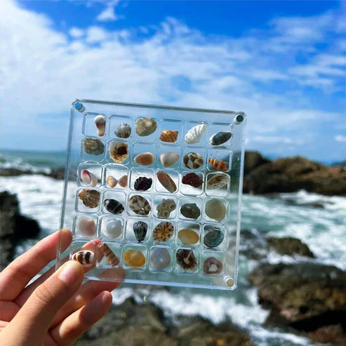 Magnetic Seashell Case