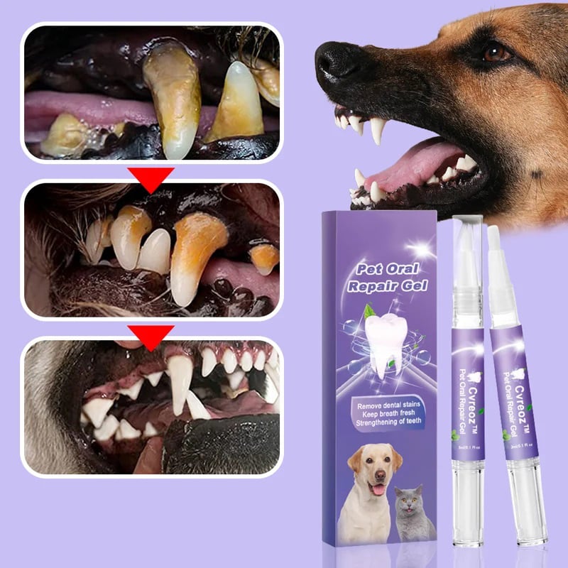 BrightBite™ — Pain-Free Freshness for Your Pet’s Smile (1+1 FREE TODAY!)