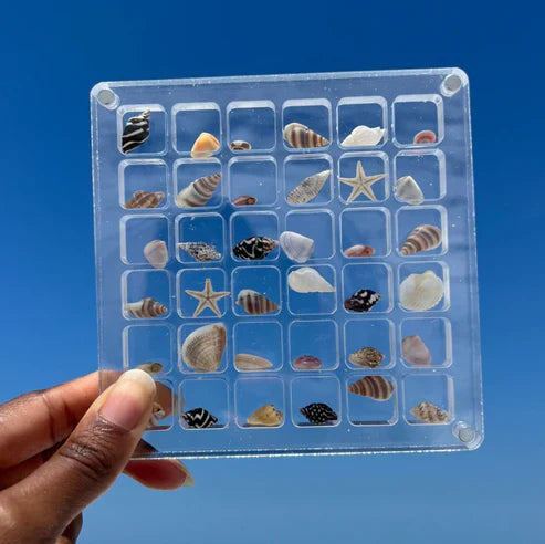 Magnetic Seashell Case