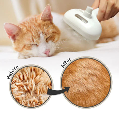 - 54% OFF | PawLish™ - Pet Grooming Brush