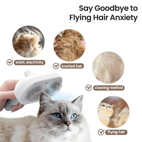 - 54% OFF | PawLish™ - Pet Grooming Brush