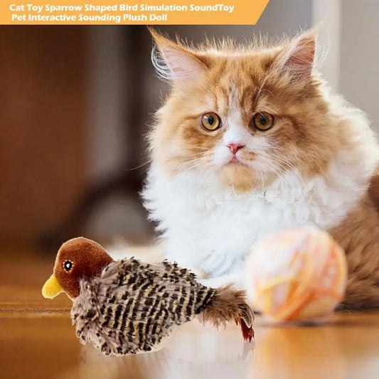 BirdBuddy | Interactive Cat Toy