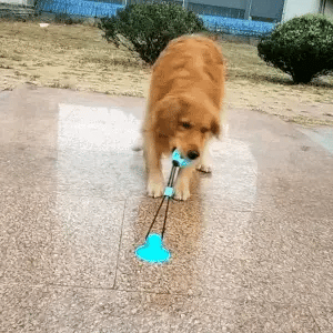 - 50% OFF | SnackAttack™ - The Ultimate Fun For Your Dog!